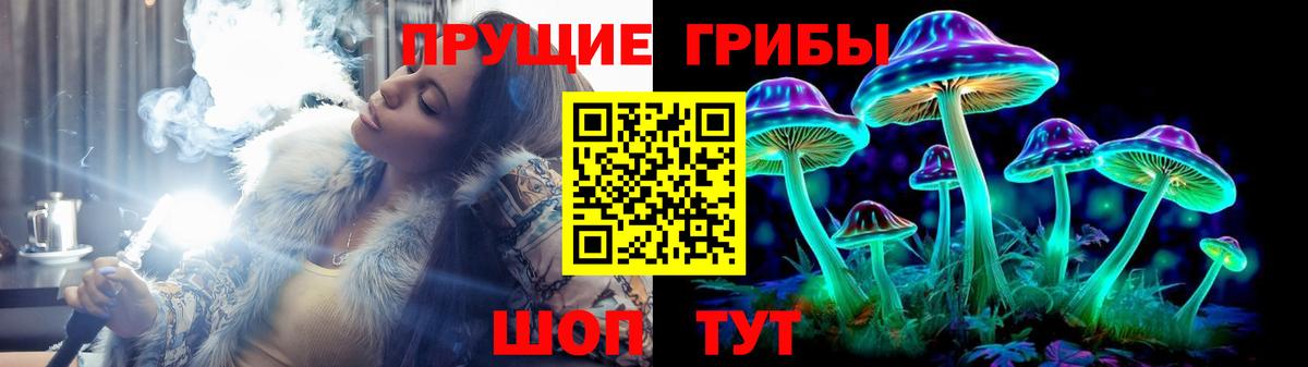 Галлюциногенные грибы Psilocybe  Вход с VPN  Майкоп 